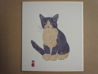 仔猫図　鉢割れの画像