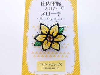 トビシマカンゾウのブローチの画像
