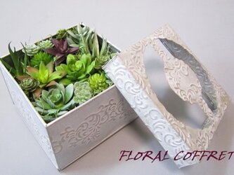多肉植物（サキュレント）のギフトボックスの画像