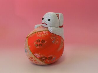 福猫まりあそびの画像