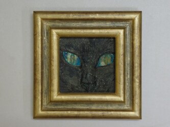 猫又　碧　（ねこまた　あお）の画像