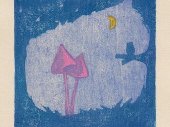 トガリツキミタケの画像