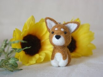柴犬ストラップの画像