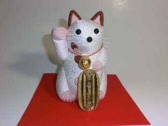 小判猫の画像