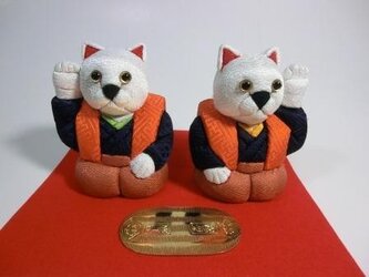 小判猫パート2の画像