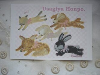 ポストカード6(うさぎ&猫&犬&ヒツジ&キツネ)3枚組の画像
