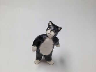 黒ねこの画像
