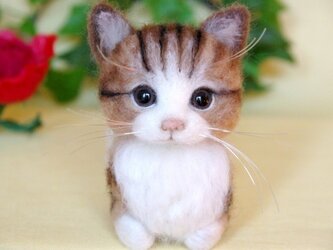 【香箱座り】 まったり猫ちゃん　2の画像