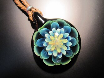 フローラル Floralの画像