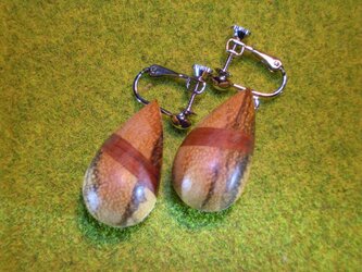 cobaウッドイヤリングの画像