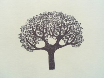 ポストカード（2枚）　　木の画像