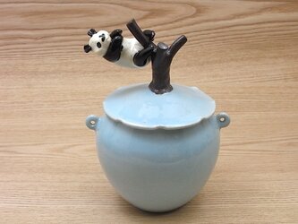 水青樹登大熊猫耳付飴小壺ｰDの画像