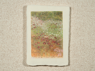 はがきノーマル　A1-521の画像