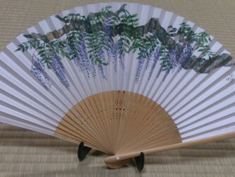 ふじの画像