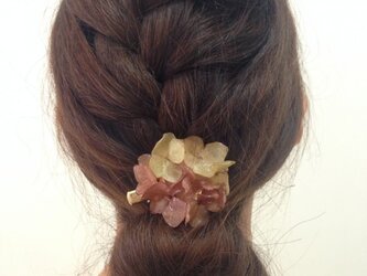 本物のアジサイの花で作った髪飾り(茶系）の画像