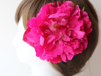 ピンクの芍薬の髪飾りの画像