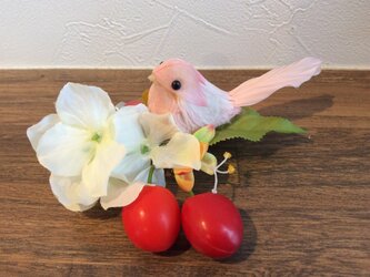 鳥とさくらんぼの画像