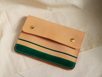 case 1 green lineの画像