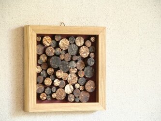 伊豆土の断面の壁飾りの画像