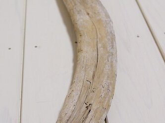 流木素材　016 [約L48cm]の画像