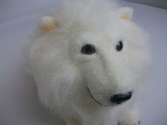 羊毛フェルト　「ホワイトライオン」の画像