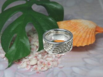 Natal Cycad Ringの画像