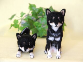 S様オーダー　【黒柴犬】　ナイト君と小春ちゃん　ご予約品　の画像