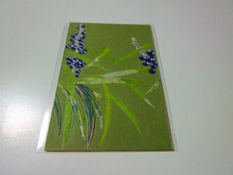 冬のヤブラン（ポストカード）の画像