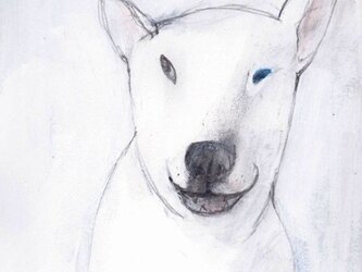 dogの画像