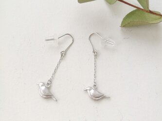 こま鳥ピアス（銀）の画像