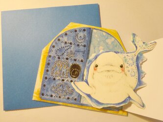 「S様分」チュニジアの白イルカカードの画像