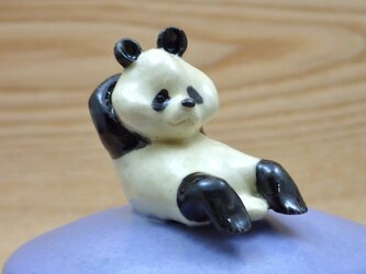 筋トレ！筋トレ！ムキムキ？パンダ-Aの画像