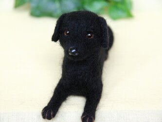 I様オーダー　【黒ラブラドールレトリバー犬】　ebonyちゃん　ご予約品　の画像