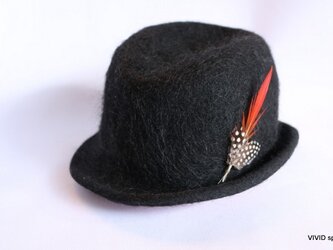 Angora blackの画像