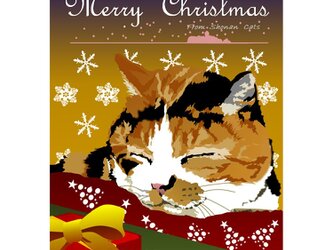 ポストカード 湘南Catsのクリスマス　⑤　ほほえみ茶トラの画像