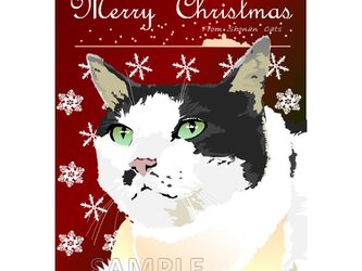 ポストカード 湘南Catsのクリスマス　⑦　うすブチ猫の画像