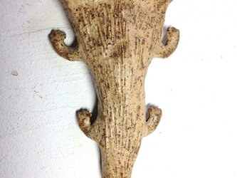 Unknown Animals  vol.0２の画像