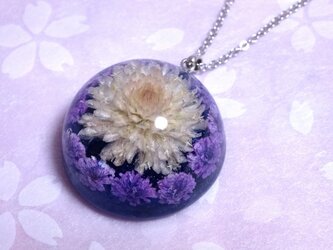 千日紅とかすみ草のドーム型ネックレス・紫の画像
