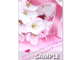 1038）「ピンクのキュートな花たち」　　5枚組ポストカードの画像