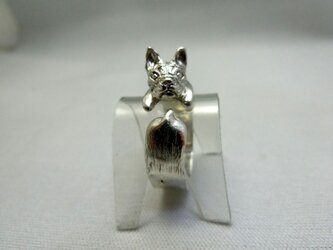 フレンチブルリングの画像