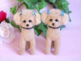 fmama monica様専用　トイプードル　青リボンちゃんと緑リボンちゃんの画像