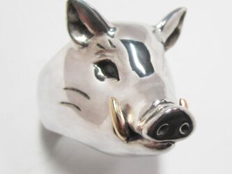 猪（いのしし）RINGの画像