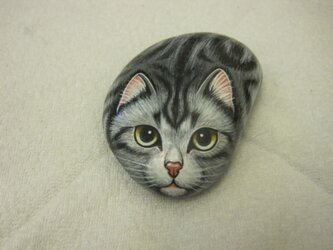 石猫  「アメリカンショートヘア」の画像