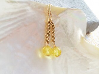 バルト海産琥珀 K14GF ピアス/イヤリング2の画像