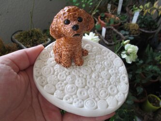 動物・ボタン模様皿＜大＞（トイプードル）の画像