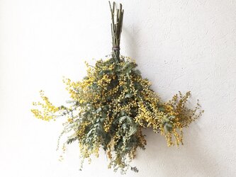 ミモザのスワッグ Eの画像