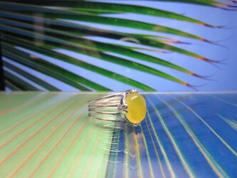 Leaf of Palm 4 ヤシの葉とイエローアゲートのリングの画像