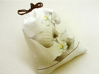 きんちゃく（ドクダミの白い花）の画像