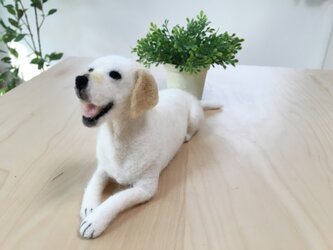 ラブラドールレトリバー　イエロー＊羊毛フェルトの画像