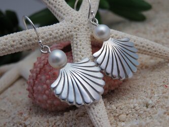 Makaha shell Pearl pierce 　貝とパールのピアスの画像